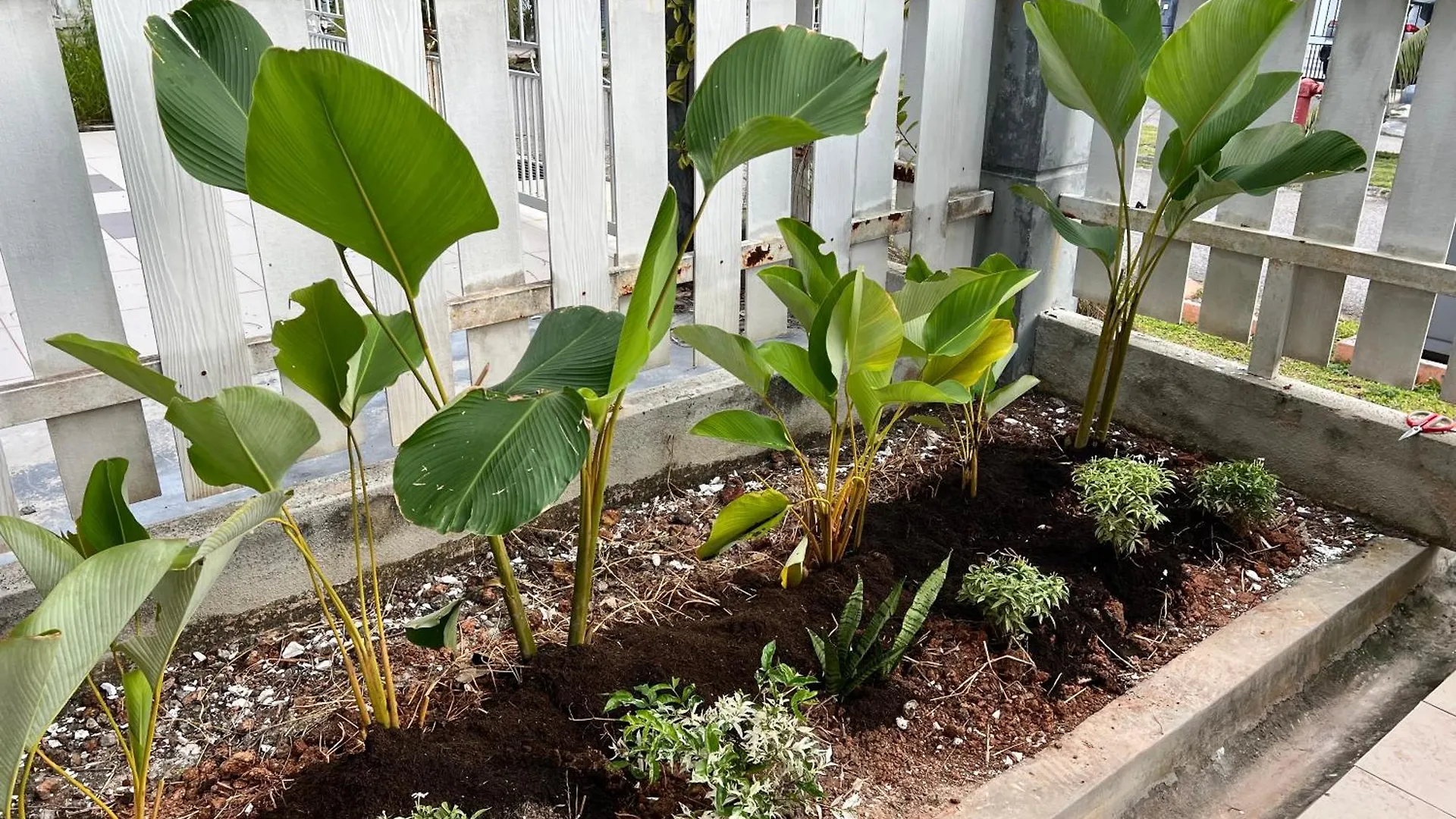 בית נופש Malacca Miss Kay Homestay